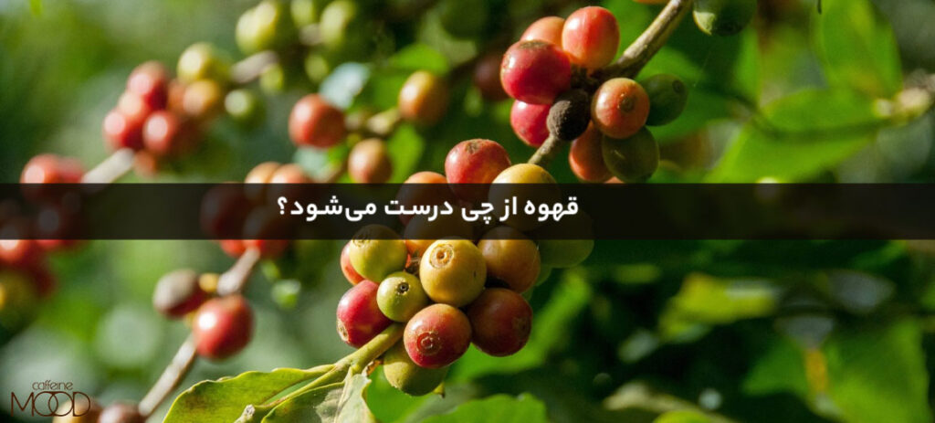 قهوه از چی درست می‌شود