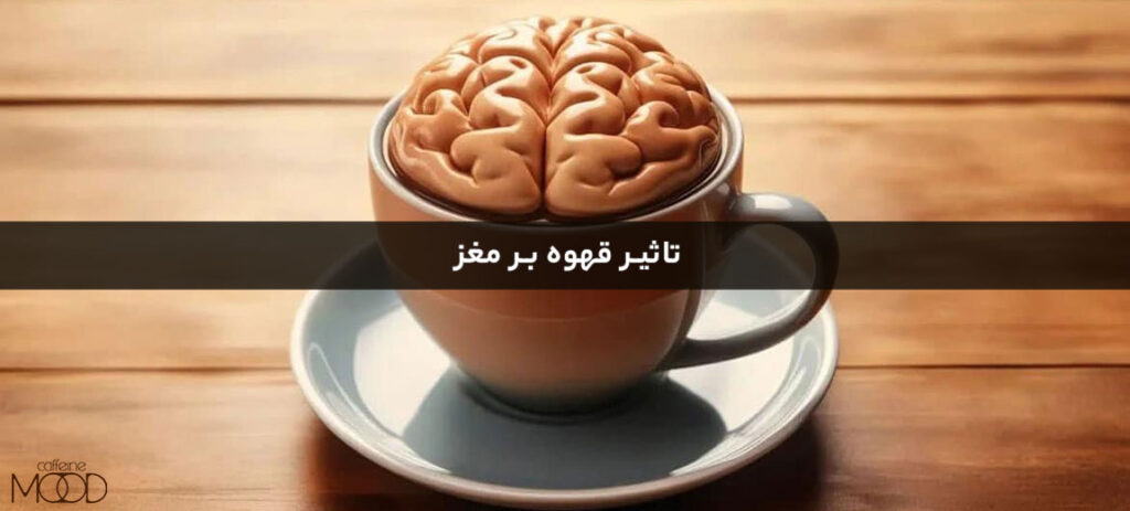 تاثیرات قهوه بر مغز