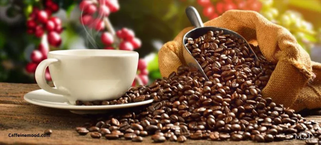 چرا قهوه کالری کمی دارد؟