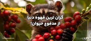 گرانترین قهوه دنیا