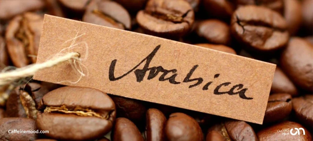 قهوه عربیکا