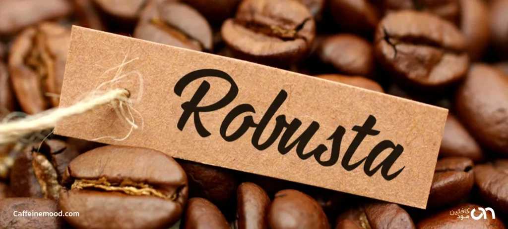 قهوه روبوستا