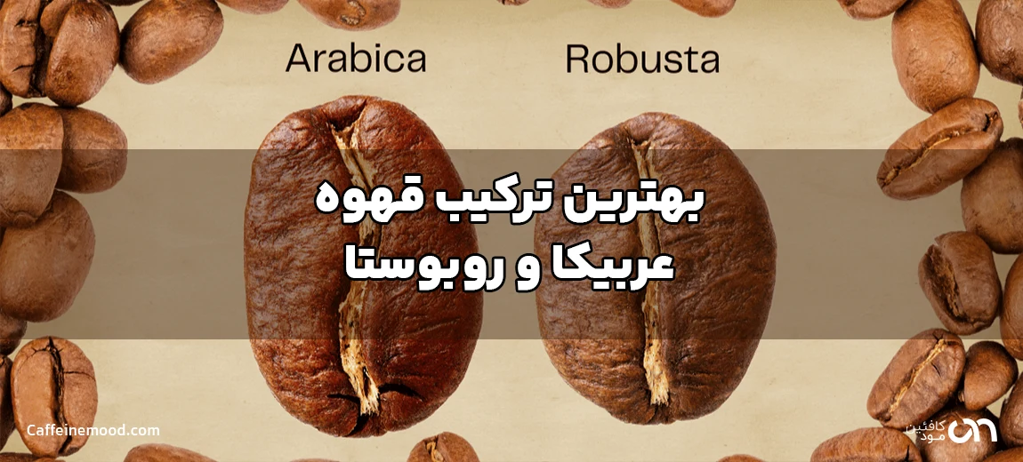 بهترین ترکیب قهوه عربیکا و روبوستا